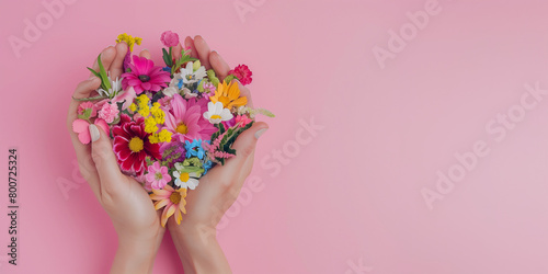isolated womans hands holding spring flowers against a pink background with copyspace