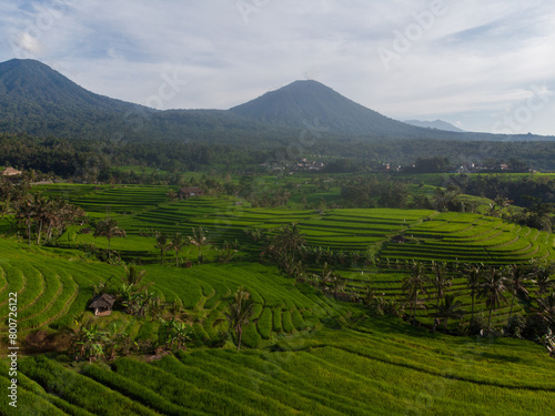 Green Rice Terraces, Bali, Indonesia. Horizontal picture, view from drone. Travel Bali concept