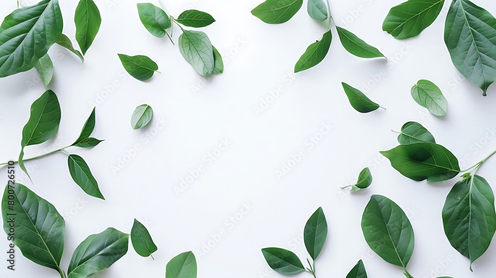 simple and clean layout of green leaves on isolated background simple and clean layout of green leaves on isolated background
