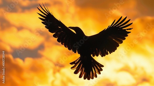 Soaring Bird, A simple bird's silhouette in flight, with outstretched wings against a bright sky © Hifzhan Graphics