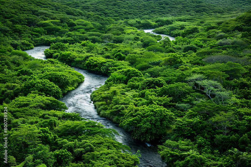Forest River with Waterfall and Lush Greenery