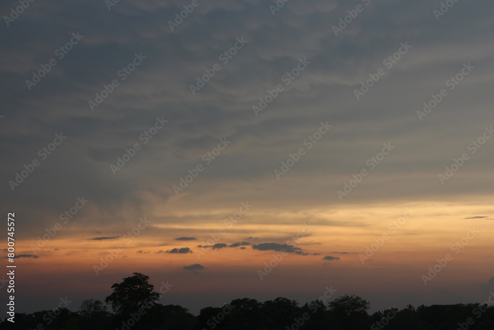 Real amazing panoramic sunrise or sunset sky with gentle colorful clouds. Real amazing panoramic sunrise or sunset sky with gentle colorful clouds.