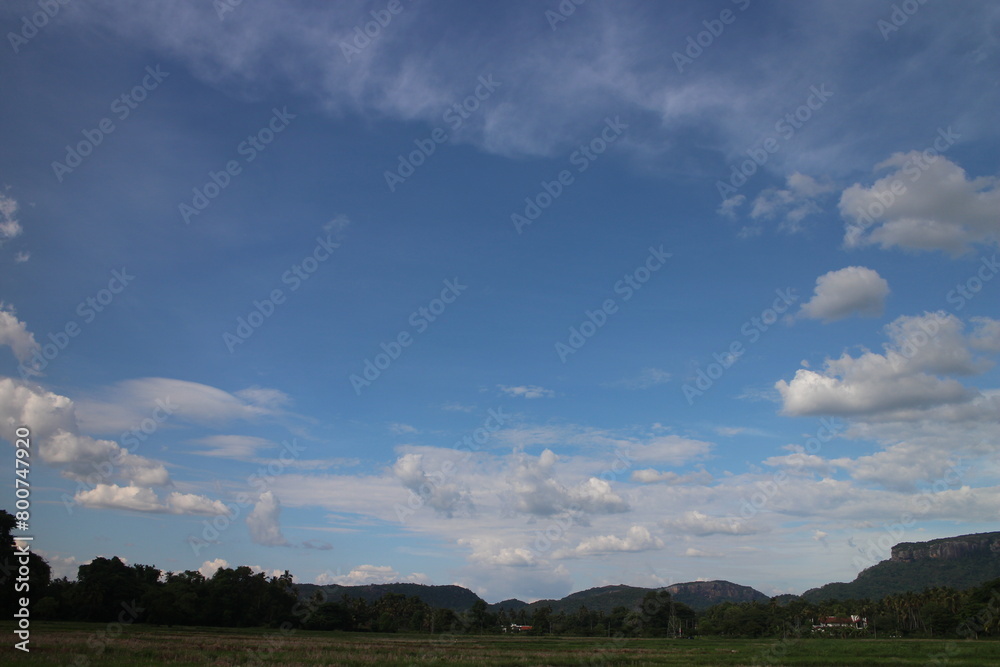 Obraz premium Blue sky and cloud with tree.