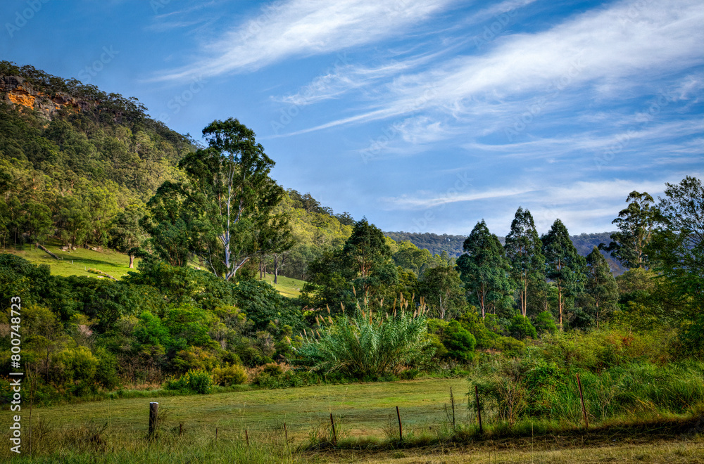 View of rolling hills in Upper Hunter Valley, NSW, Australia