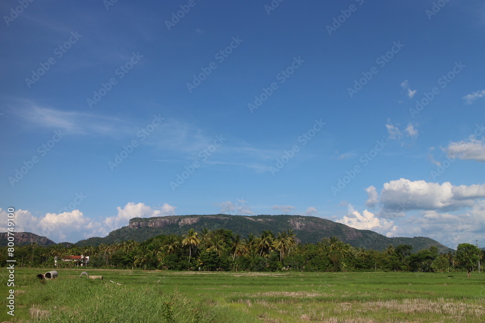 Blue sky and beautiful cloud with meadow trees.