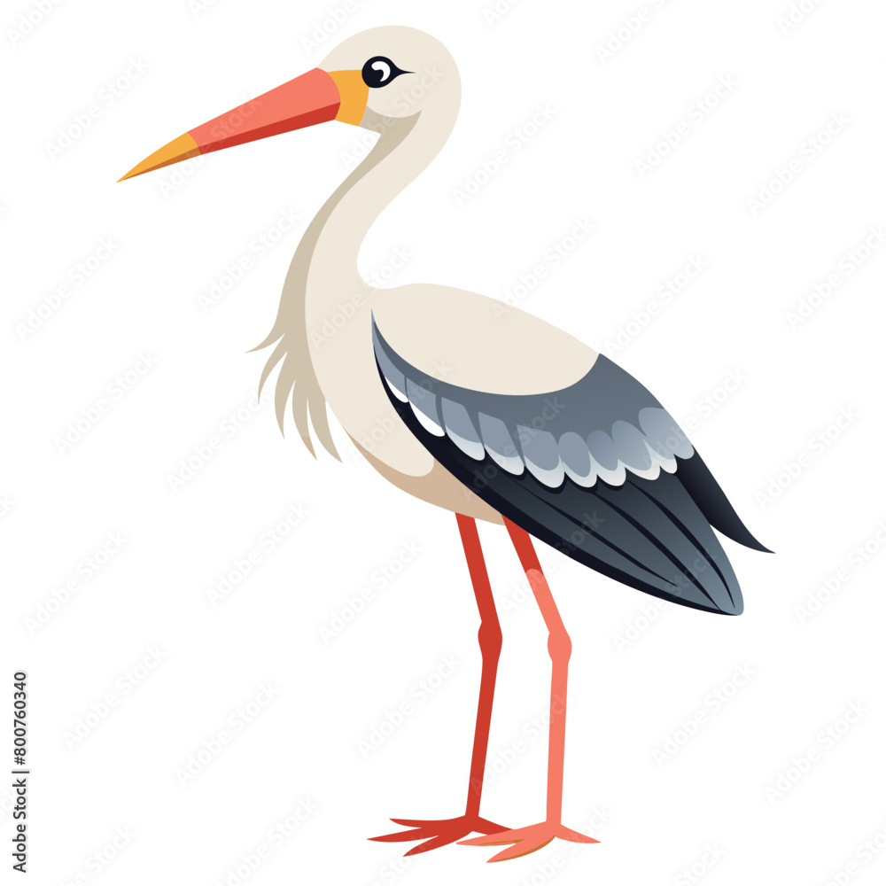 Fototapeta premium stork vector illustration with white background
