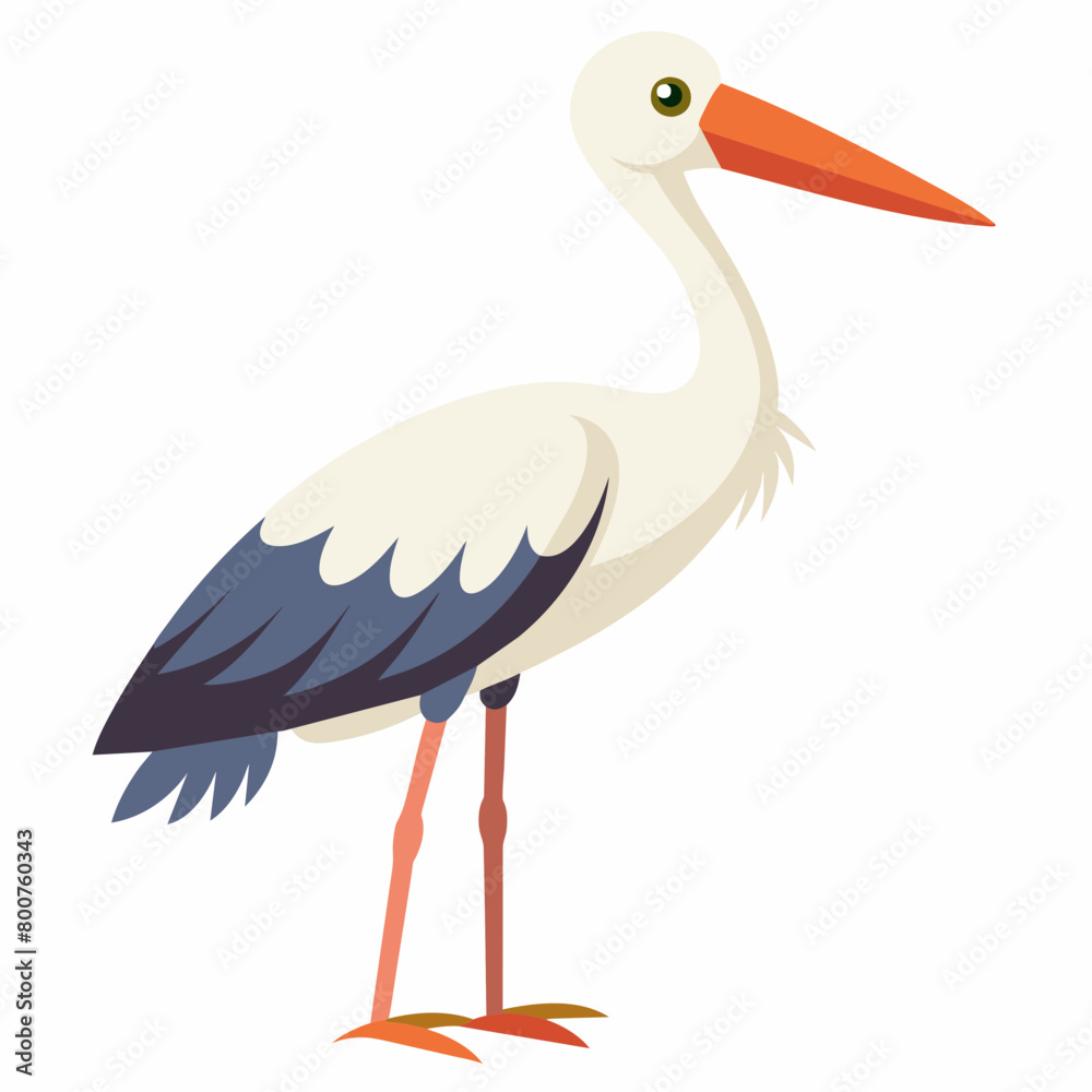 stork vector illustration with white background stork vector illustration with white background