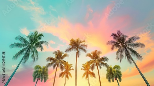 palm trees are in a row in a straight line © beatriz