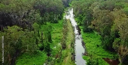 aerial video of a very natural protected forest with a river flowing calmly between the forest