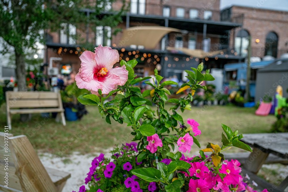 Fototapeta premium Palatka, FL