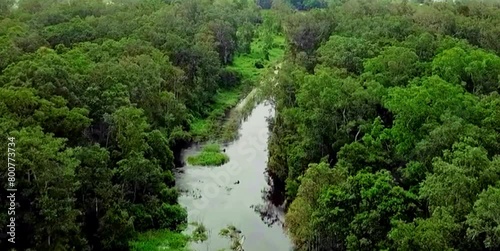 aerial video of a very natural protected forest with a river flowing calmly between the forest