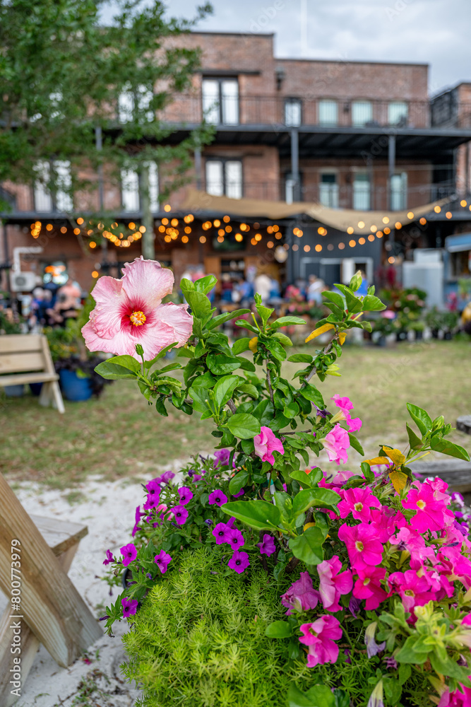 flower with party event in the distance, blurred