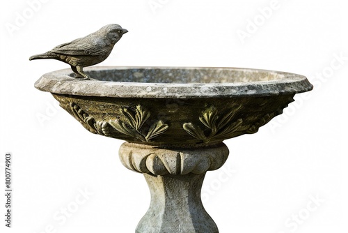 Bird bath, isolated on white photo
