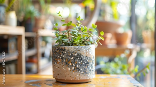 A terrazzoinspired ceramic planter with a mixture of earthy colored clay pieces creating a natural organic look.. photo