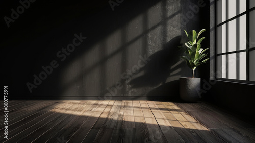 A room with a large window and a plant in a pot. The room is empty and has a minimalist feel