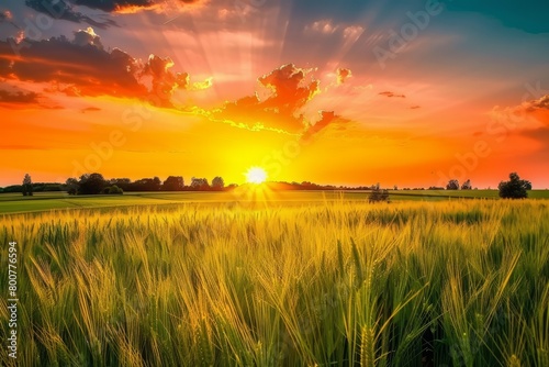 Watch as the colors of sunset paint the sky above a picturesque wheat field  casting a warm orange glow over the landscape as day  Generative AI