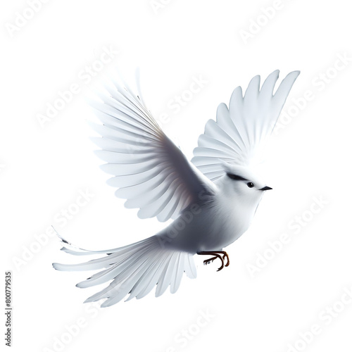 White Dove Soaring in Peaceful Flight © I Love Png