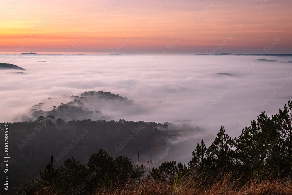 Fototapeta premium The sunrise with beautiful colors at highland in Da Lat, Viet Nam. Sunrise with fog in early morning.