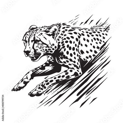 Leopard vinyl vector illustration on white background