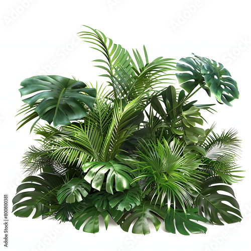 Vibrant pile of lush green tropical plants  creating a refreshing oasis  isolated on a pristine white background