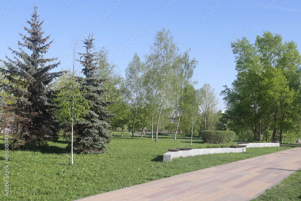 Obraz premium Park in the center of the city in the spring in sunny weather