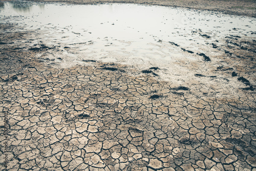 Land ground drought crisis environment.
