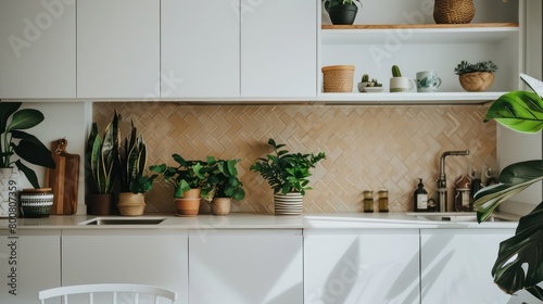 simple, modern white kitchen backsplash with green house plants © beatriz