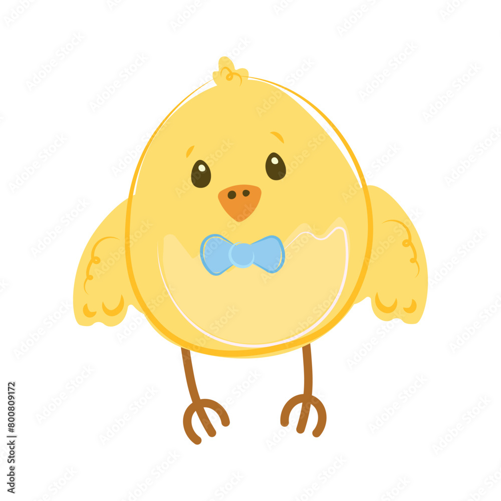 Cute Easter design for chicks. Vector illustration on a white background. Chicken boy with bow tie. Character. Cute Easter design for chicks. Vector illustration on a white background. Chicken boy with bow tie. Character.