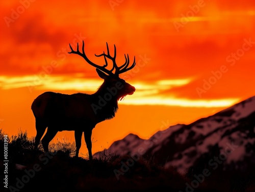 A majestic stag silhouetted against a fiery sunrise  with mist clinging to the valley below.