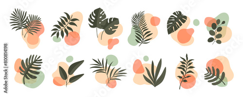 Abstract boho leaf and plant organic shapes, vector floral minimalist art set. Summer nature prints with geometric decor, tropical areca palm tree, monstera and philodendron leaves silhouettes