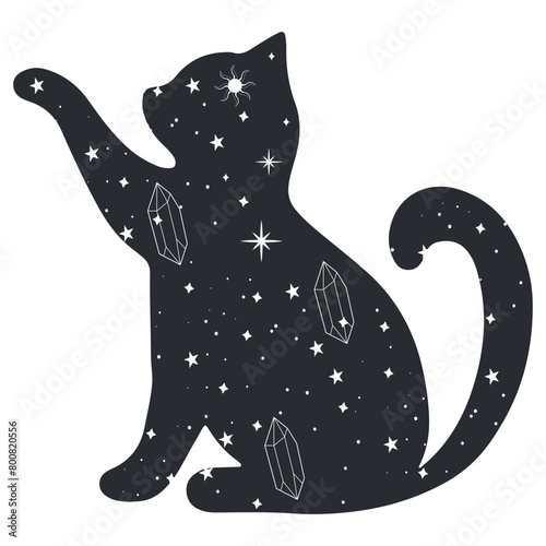 Mystical Cat Illustration