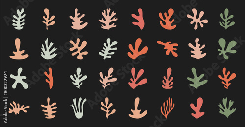 Cute boho irregular plant form design set, doodle geometric asymmetric floral element graphic, trendy organic random leaf symbol collection, flat liquid silhouette art, modern abstract minimal shape.