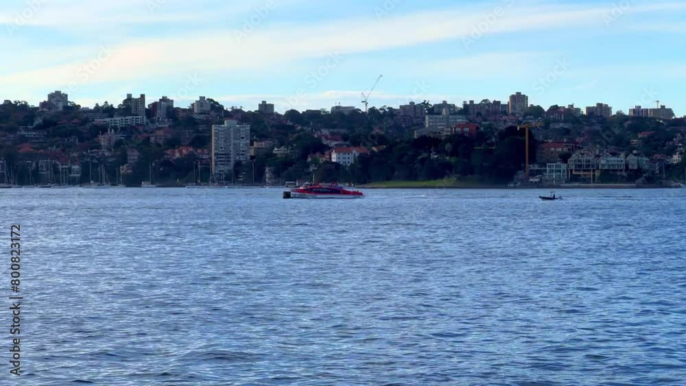 Sydney Harbour forshore viewed from the Gardens in NSW Australia on a nice sunny and partly cloudy afternoon blue skies Sydney Harbour forshore viewed from the Gardens in NSW Australia on a nice sunny and partly cloudy afternoon blue skies