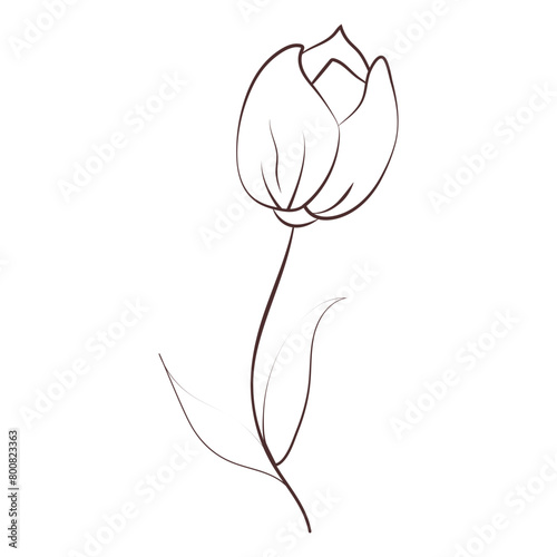 Handdrawn Abstract Flower photo