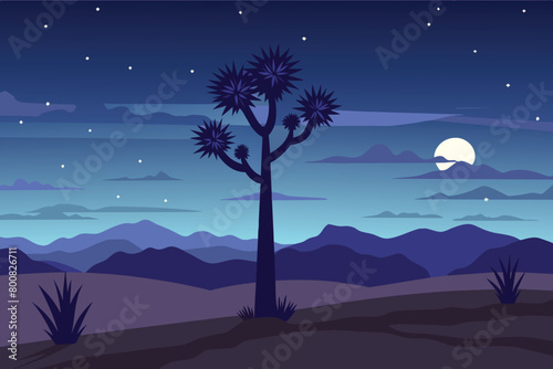 Night in Western American Yucca Tree Plant Vast Desert Landscape vector Illustration design © mobarok8888
