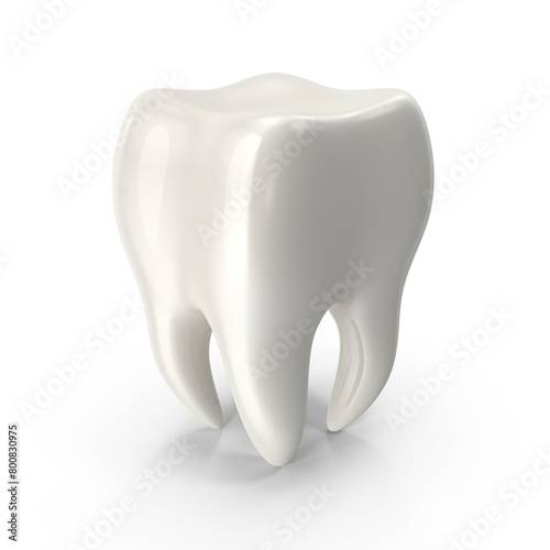 Human Tooth