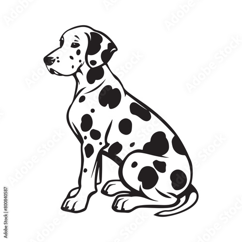 Dalmatian Vector Illustration Stock Vector . Dalmatian dog isolated on white
