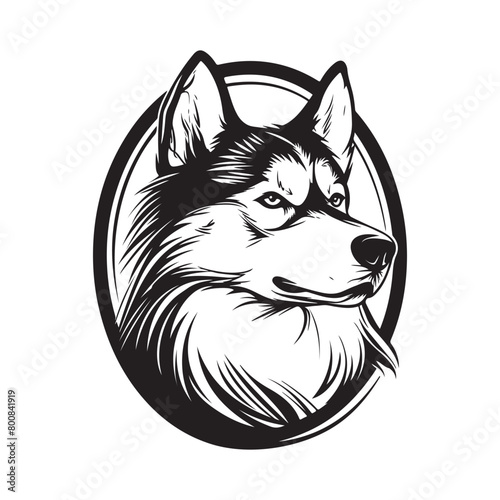 Alaskan malamute dog  Vector Image.  Alaskan malamute dog  vector illustration