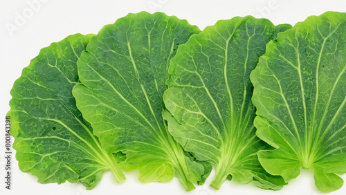 vegetable leaves are green on a white background. Generative Ai photo