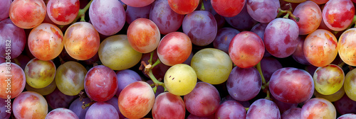 A diverse collection of grape bunches varying from dark purple to light green, forming a full-frame background of ripe fruits
