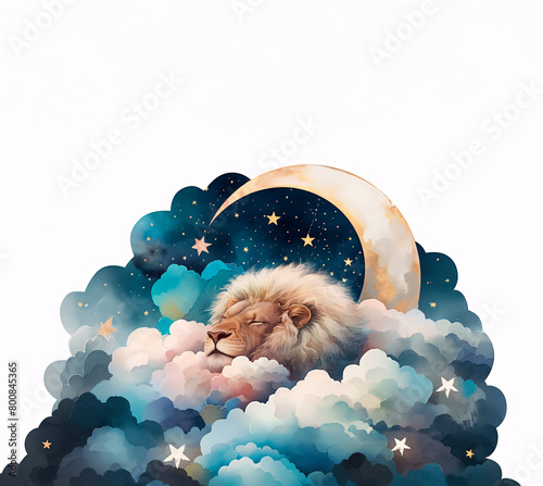 雲の上で眠るライオン