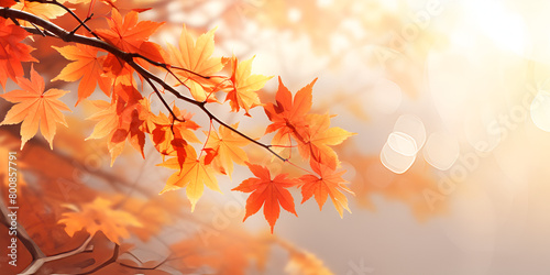 Beautiful autumn season leaf presentation transition snowfall with blurred background 