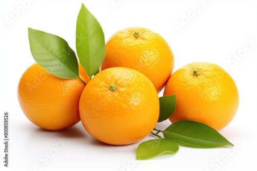 Close-up of ripe tangerines on a white background with leaves from a mannarin tree.