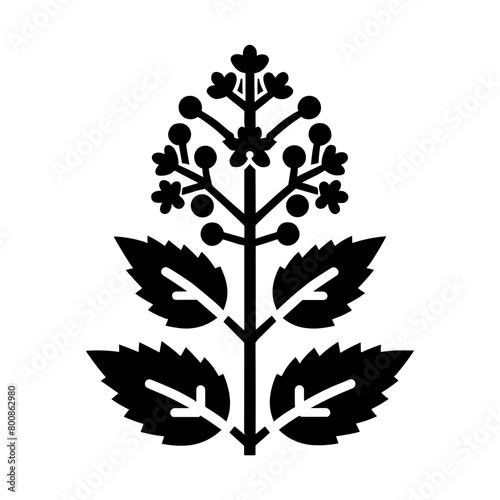 "Catnip Flower Icon" - This Vector Showcases The Delicate Bloom Of The Catnip Plant, Emphasizing Its Organic Herb Qualities With Detailed Leaf Illustrations.