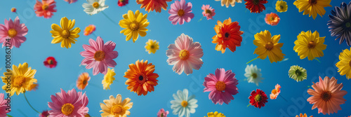 Assorted Colorful Wildflowers Adrift on a Bright Blue Sky Background