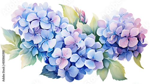 Digital vintage hydrangea floral bouquet abstract graphic poster web page PPT background