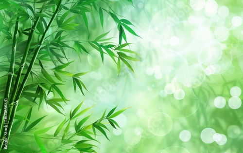 bamboo background