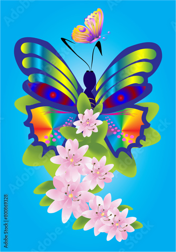 composition with pink flowers and colorful butterflies © klatki