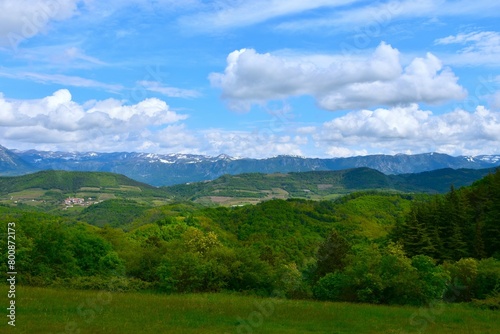 View of Trnovo forest plateau from Kras in Slovenia in summer