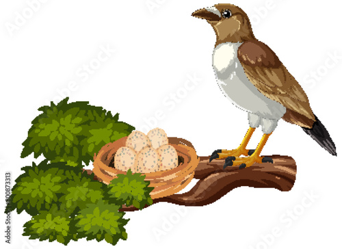 Vector illustration of bird guarding eggs in nest.
